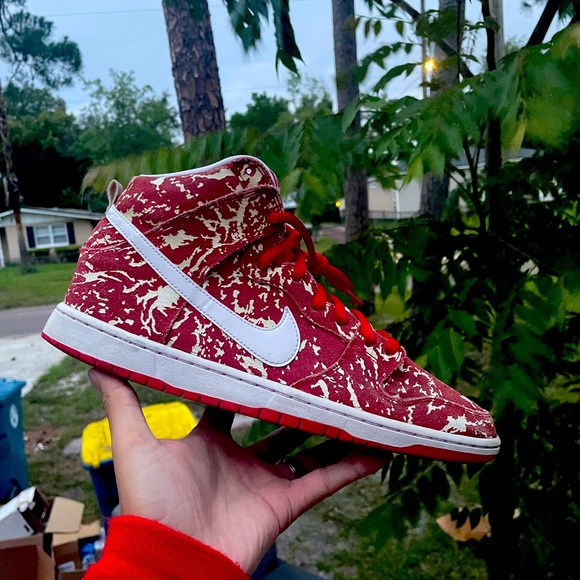 Nike SB Dunk Raw Meat - Picture 1 of 6